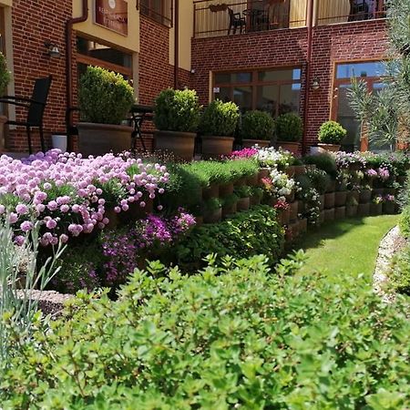 Jolan Pension & Restaurant Cicov Ngoại thất bức ảnh