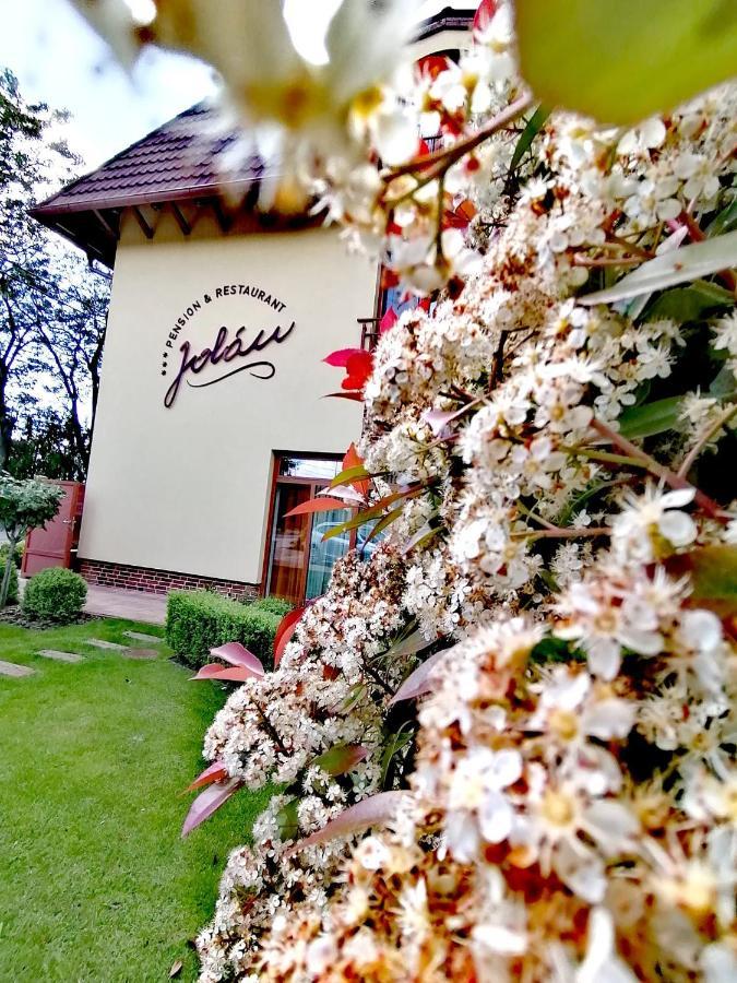 Jolan Pension & Restaurant Cicov Ngoại thất bức ảnh