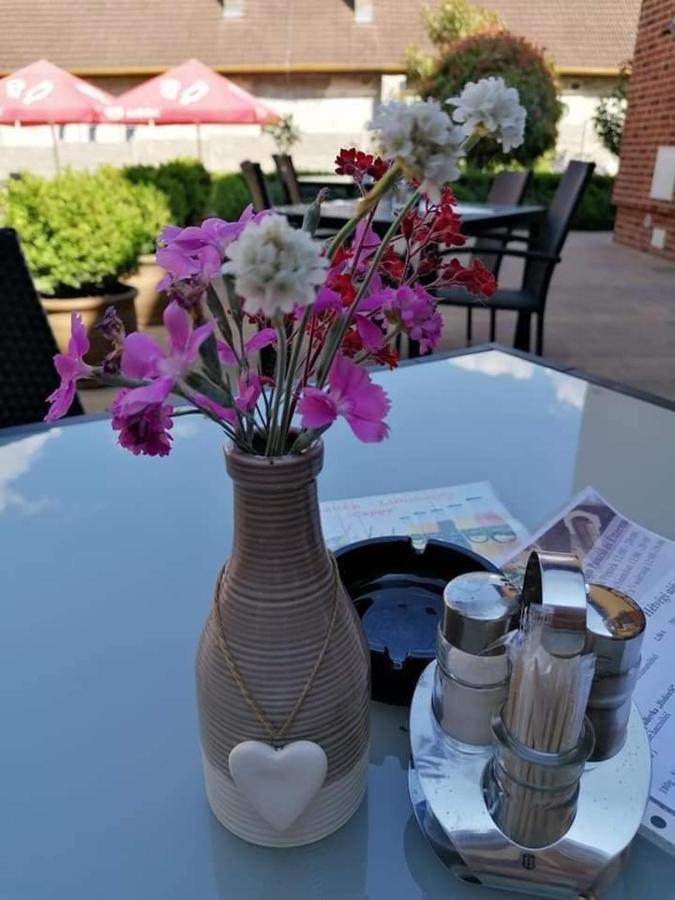 Jolan Pension & Restaurant Cicov Ngoại thất bức ảnh