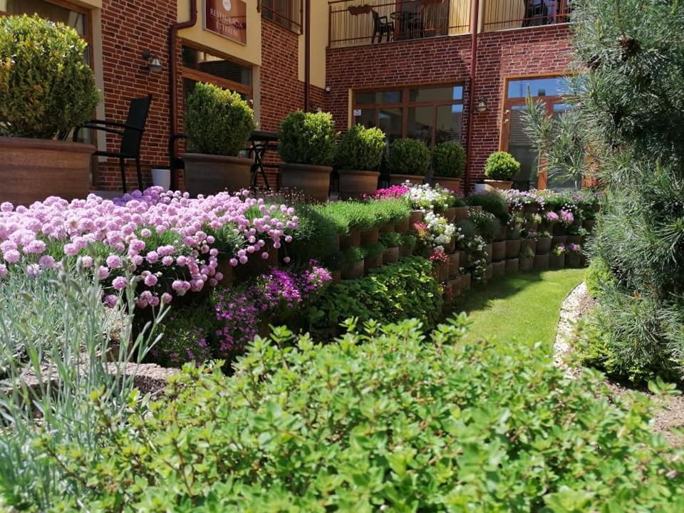 Jolan Pension & Restaurant Cicov Ngoại thất bức ảnh